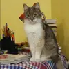 Отзыв от Ева Ершова